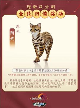 靓妆私服天龙八部